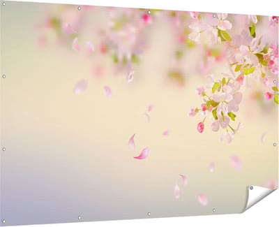 Gards Tuinposter Appelbloesem - Bloemen - 180x120 cm - Tuindoek - Tuindecoratie - Wanddecoratie buiten - Tuinschilderij