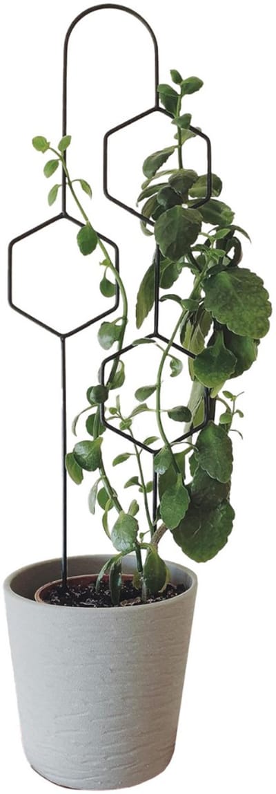 DailySupplies® Klimrek Planten - Plantensteunen voor Klimplanten - Wandrek voor Buiten - Hout - Nature - Zwart