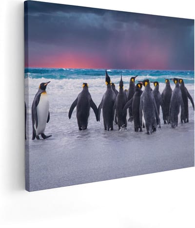 Artaza Canvas Schilderij Dieren - 50x40 cm - Wanddecoratie Zee - Muurdecoratie Pinguïns Strand - Kamer Accessoires