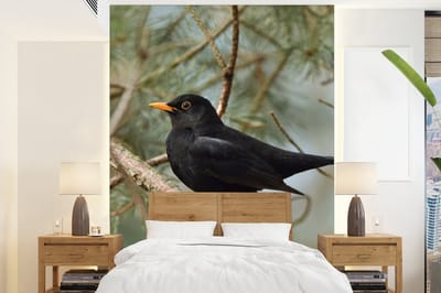 Behang - Fotobehang Vogel - Merel - Takken - Dieren - Breedte 175 cm x hoogte 240 cm