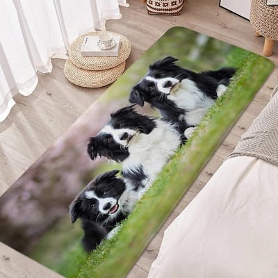 Border Collie Digitale Print Tapijt Schattig Deurmat voor Slaapkamer Buiten Huis Hal Entree Voetmat 40x60cm16x24in