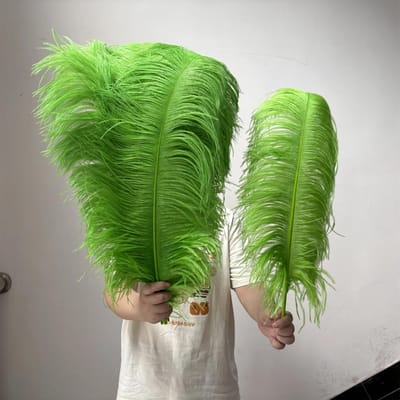 10 STUKS Licht Kaki Grote Struisvogelveren Bulk 15-60CM Lang Natuurlijke Pluizige Struisvogelveren voor Bruiloft Restaurant Vaas Decoratie 15-20cm 6-8inch appelgroene kleur
