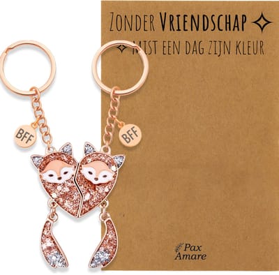BFF Sleutelhanger voor 2 'Zonder Vriendschap mist een dag zijn kleur' - Magnetische Vosjes - Sleutelhanger set op Cadeau Kaartje - Rosé Goud - Vriendschap Symbool - Pax Amare