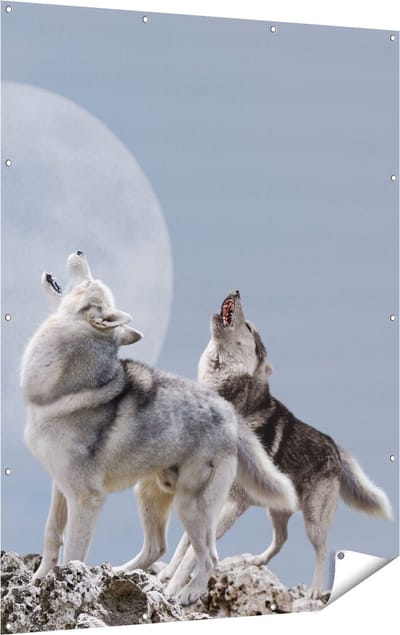 Gards Tuinposter Twee Wolven Die Huilen tijdens Volle Maan - 120x160 cm - Tuindoek - Tuindecoratie - Wanddecoratie buiten - Tuinschilderij