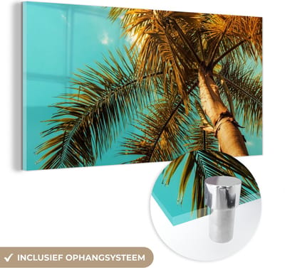 MuchoWow® Glasschilderij 40x20 cm - Schilderij acrylglas - Palm - Zomer - Tropisch - Foto op glas - Schilderijen