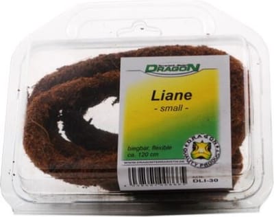 Dragon liaan buigzaam groot