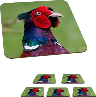Onderzetters voor glazen - Fazant - Dieren - Groen - 10x10 cm - Glasonderzetters - 6 stuks
