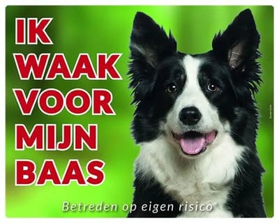 Border Collie Waakbord - Ik waak voor mijn baas