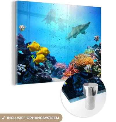 MuchoWow® Glasschilderij 160x120 cm - Schilderij acrylglas - Zee - Vissen - Kleuren - Foto op glas - Muurdecoratie woonkamer - Wanddecoratie slaapkamer - Schilderijen