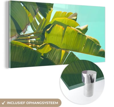 MuchoWow® Glasschilderij 40x20 cm - Schilderij acrylglas - Bananenblad - Bladeren - Tropisch - Zomer - Foto op glas - Schilderijen