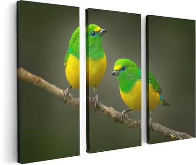 Artaza Canvas Schilderij Drieluik Twee Groen Gele Zangvogels Op Een Tak - 120x80 - Foto Op Canvas - Canvas Print