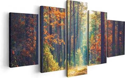 Artaza Canvas Schilderij Vijfluik Herfstbos Met Zonneschijn - Kleur - 100x50 - Foto Op Canvas - Canvas Print