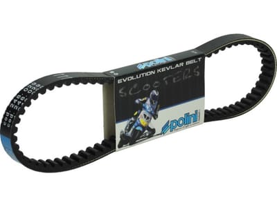 Courroie de transmission Polini pour Scooter Gilera 50 Runner SP Après 1998 248.029 Neuf