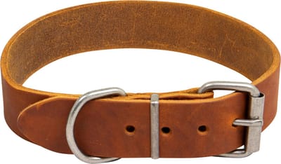 Animal Boulevard Ab30059 - Hals- En Leibanden - Hond - Ab Country Leather Hd Halsband Cognac-35mmx30-38cm - Maat: 35mmx30-38cm - 200753