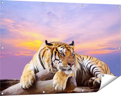 Gards Tuinposter Tijger tijdens Zonsondergang - 120x80 cm - Tuindoek - Tuindecoratie - Wanddecoratie buiten - Tuinschilderij