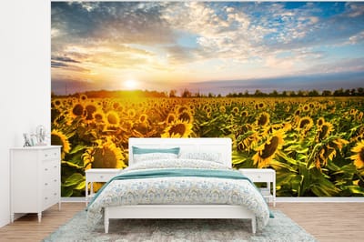 Behang - Fotobehang Bloemen - Zonnebloem - Lucht - Breedte 375 cm x hoogte 280 cm