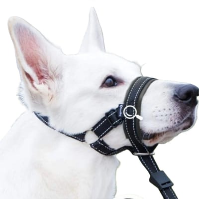 muilkorf honden M – Verstelbaar Nylon – Anti-Blaf & Anti-Bijt – Comfortabel & Ademend – Zwart – Voor Grote Honden