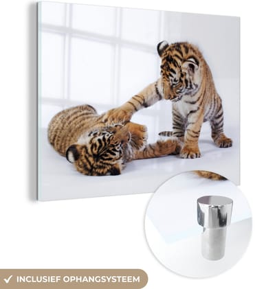 MuchoWow® Glasschilderij 160x120 cm - Schilderij acrylglas - Tijger - Welp - Wit - Foto op glas - Schilderijen