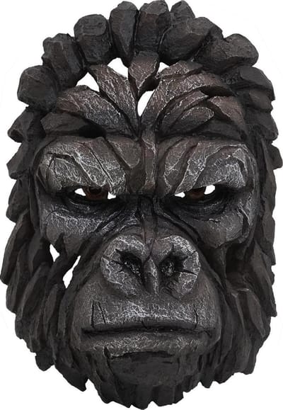 Gorilla hoofdtrofee 34 cm Deco schedel