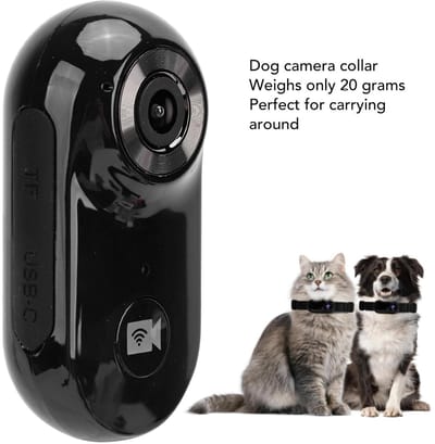 Allecto - Pet Collar Camera - HD Beveiligingscamera met 120° Hoek - Inclusief 8G TF Kaart - Perfect voor Huisdieren - Draadloze Beveiliging - Voor ...