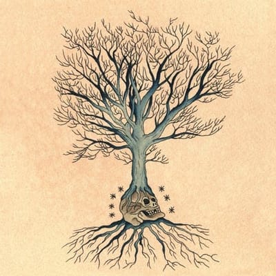 David Daniell & Douglas McCombs - Versions (2 LP)