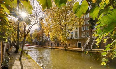 Fotobehang Oude gracht Utrecht 250 x 260 cm - € 175,--
