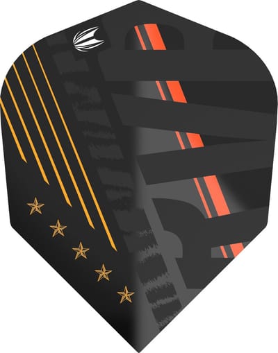 Target Raymond van Barneveld Black NO6 - Dart Flights