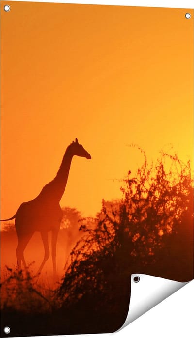 Gards Tuinposter Drie Giraffe Silhouetten bij Zonsondergang - 60x90 cm - Tuindoek - Tuindecoratie - Wanddecoratie buiten - Tuinschilderij