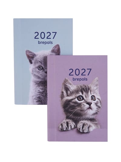 Brepols agenda 2027 - ARMADA [0.913] - AMICI - Zakagenda - 1 week op 2 pagina's - Weekoverzicht - Blauw - 7.1 x 10.2 cm/Klein formaat!!