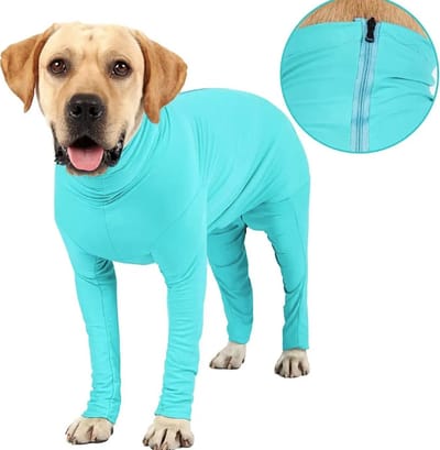 Dogs&Co® Medisch Bodysuit Maat L - Operatie jumpsuit - Operatiepak voor de hond TurquoiseTurquoise