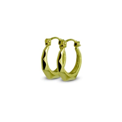 New Bling 9NBSAM-G210093 Gouden Oorringen - Dames - Lapide - 14 mm Doorsnee - Goud