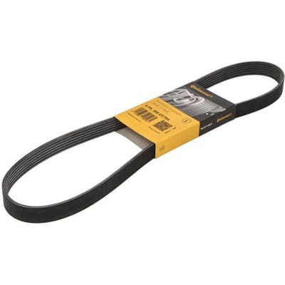 Continental Ctam Poly V-riem CONTINENTAL 6 PK 995 EXTRA