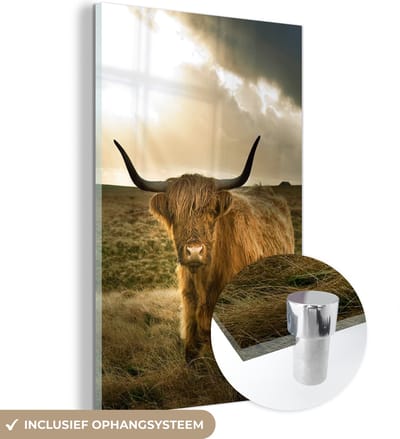 MuchoWow® Glasschilderij - Schotse Hooglander - Zon - Duin - Natuur - Dieren - 120x180 cm - Acrylglas Schilderijen - Foto op Glas - Muurdecoratie