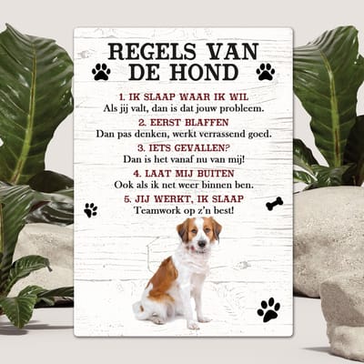 Spreuken - Kooiker - Regels Van De Hond - Spreuken Bordjes - Spreukenbord - Tekstborden - Cadeau - Hondenras