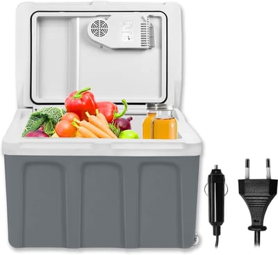 Elektrische koelbox - Thermobox auto - Reizen en kamperen - Koelen en verwarmen - 48 liter - Grijs