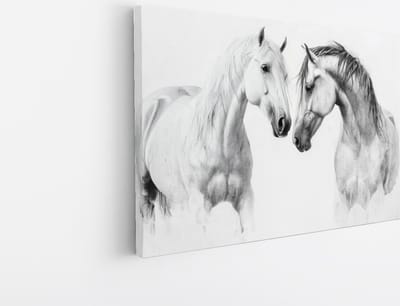Saammp Canvas Schilderij - 2 Paarden - Kunst - Dieren - Natuur - 45x30 - Foto op canvas - Wanddecoratie - muurdecoratie Woonkamer - Slaapkamer decoratie - Canvas Print