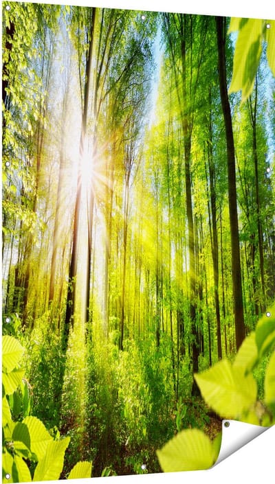 Gards Tuinposter Weg Omringd met Bomen in het Bos - 100x150 cm - Tuindoek - Tuindecoratie - Wanddecoratie buiten - Tuinschilderij