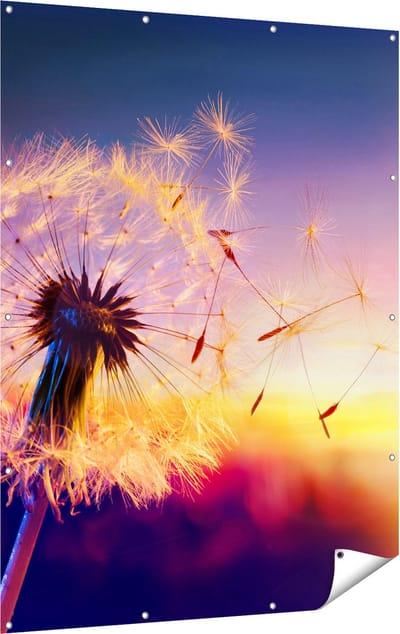 Gards Tuinposter Paardenbloem tijdens Zonsondergang - 120x160 cm - Tuindoek - Tuindecoratie - Wanddecoratie buiten - Tuinschilderij