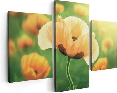 Artaza Canvas Schilderij Drieluik Oranje Klaproos Bloemen  - 90x60 - Foto Op Canvas - Canvas Print