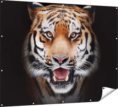 Gards Tuinposter Tijgerkop - Tijger - 160x120 cm - Tuindoek - Tuindecoratie - Wanddecoratie buiten - Tuinschilderij
