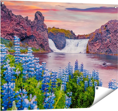 Gards Tuinposter Waterval met Blauwe Lupine Bloemen - 100x80 cm - Tuindoek - Tuindecoratie - Wanddecoratie buiten - Tuinschilderij