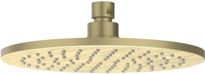 IVY Toebehoren Hoofddouche medium 20cm met antikalk nozzels RVS316 geborsteld mat goud PVD