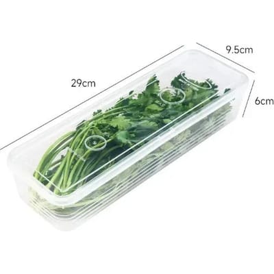 5/1 stuks Koelkast Vershouddoos Lente-uitjes Groente Koelopslag Koriander met Deksel Keuken Luchtdichte Organizer Plastic Dozen 5PCS