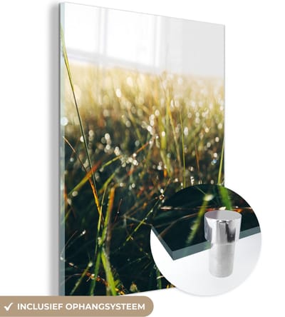 MuchoWow® Glasschilderij 30x40 cm - Schilderij acrylglas - Grasveld - Pampasgras - Gras - Foto op glas - Schilderijen