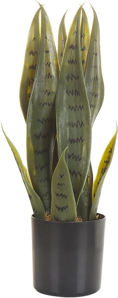 SNAKE PLANT - Kunstplant - Groen - 40 cm - Synthetisch materiaal