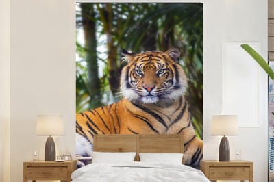 Behang - Fotobehang Tijger - Dieren - Bos - Bladeren - Jungle - Breedte 195 cm x hoogte 300 cm