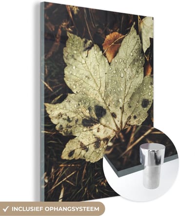 MuchoWow® Glasschilderij 30x40 cm - Schilderij acrylglas - Herfstbladeren - Herfst - Seizoenen - Natuur - Foto op glas - Schilderijen