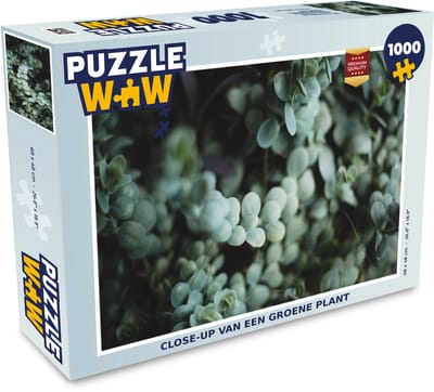 Puzzel Close-up van een groene plant - Legpuzzel - Puzzel 1000 stukjes volwassenen