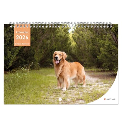 Huurdies - 2026 Kalender - Golden Retriever - A4