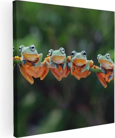 Artaza Canvas Schilderij Kikkers - 30x30 cm - Klein - Wanddecoratie Jungle - Muurdecoratie Dieren - Kamer Accessoires